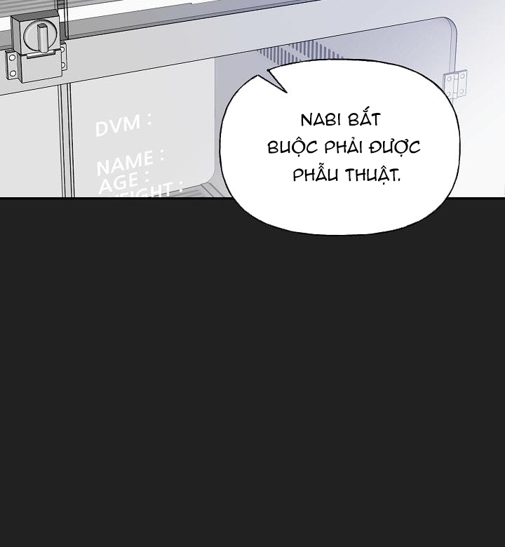 xác suất tình yêu chapter 39 71