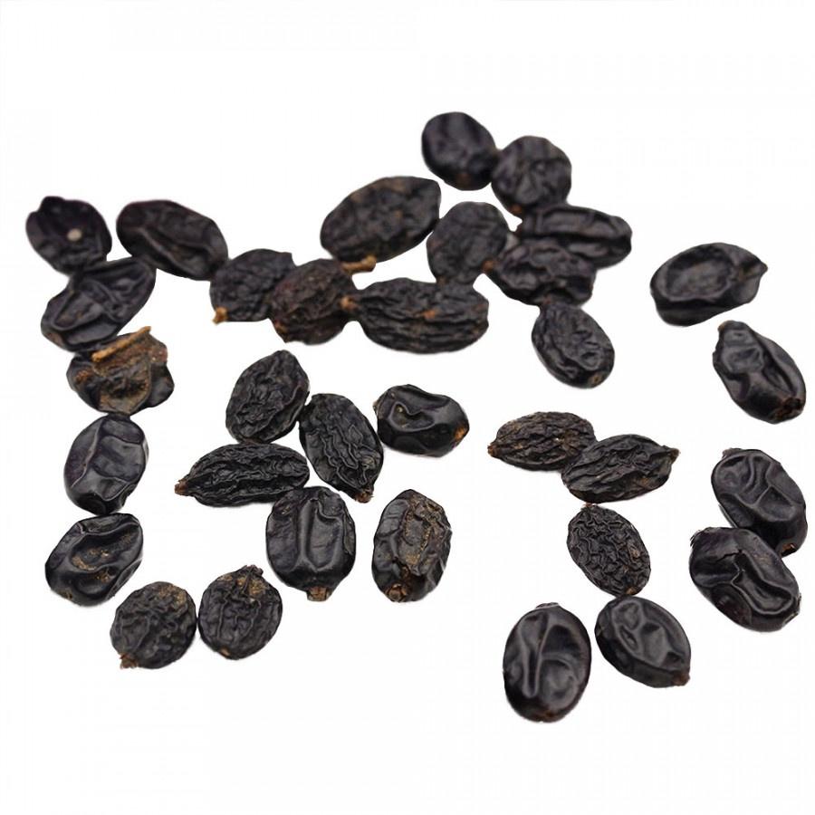 Hạt giống hoa cẩm tú cầu mix màu KNS3619 - Gói 5 hạt