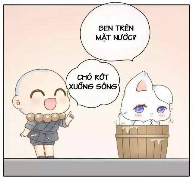 tiểu hồ ly vs tiểu hóa thượng chapter 50 13