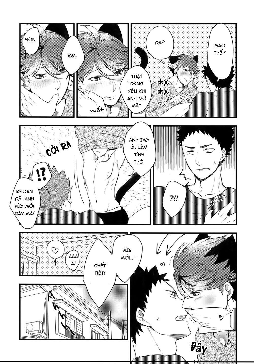 tuyển tập haikyuu dj by dammei bl chapter 6 9
