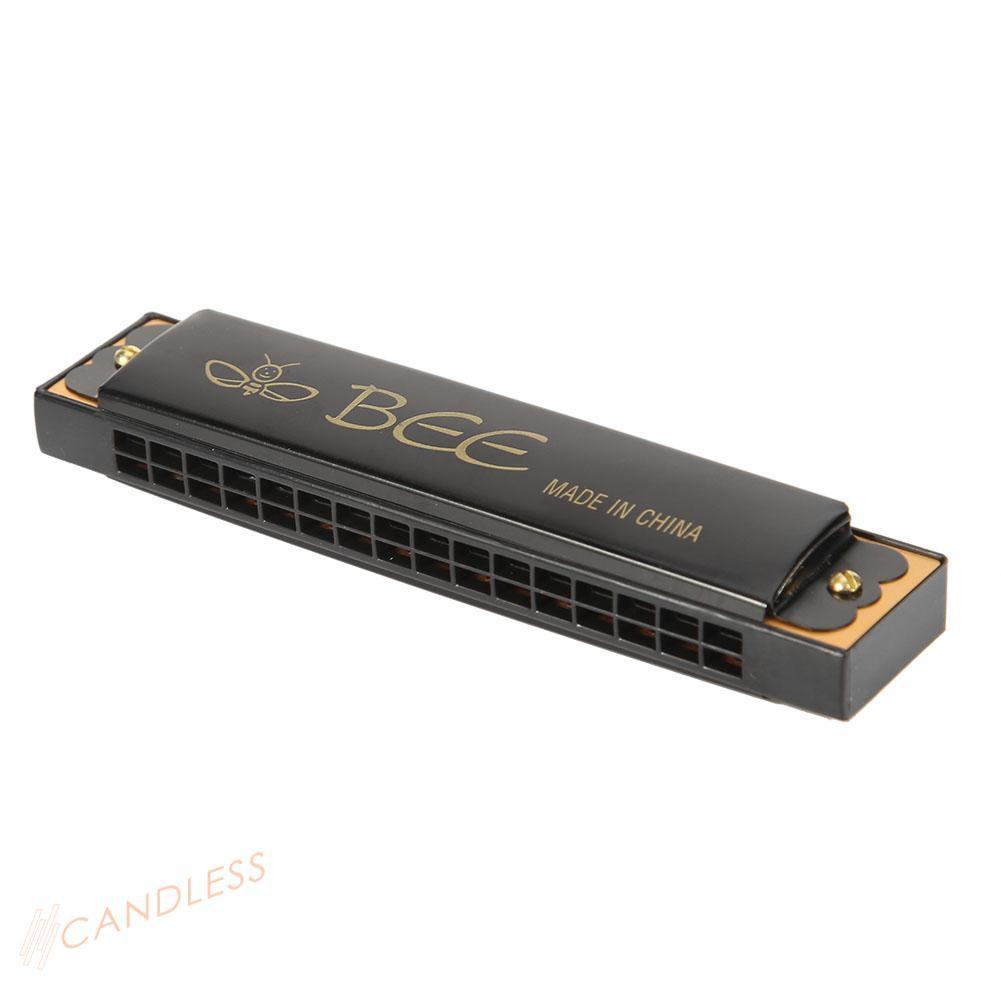 Kèn Harmonica 16 Lỗ Cho Người Mới Bắt Đầu