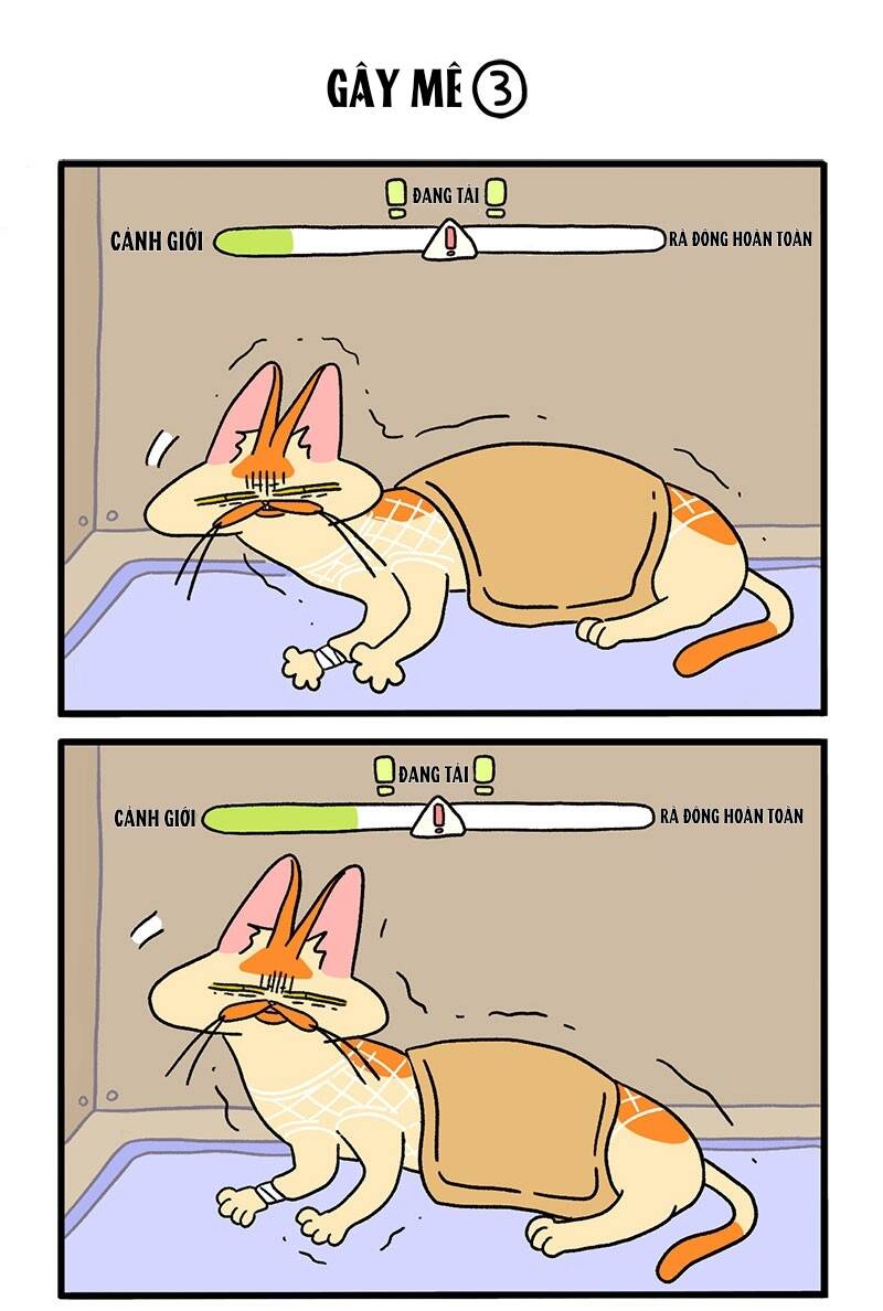 a mãn và mạch trà chapter 17 5