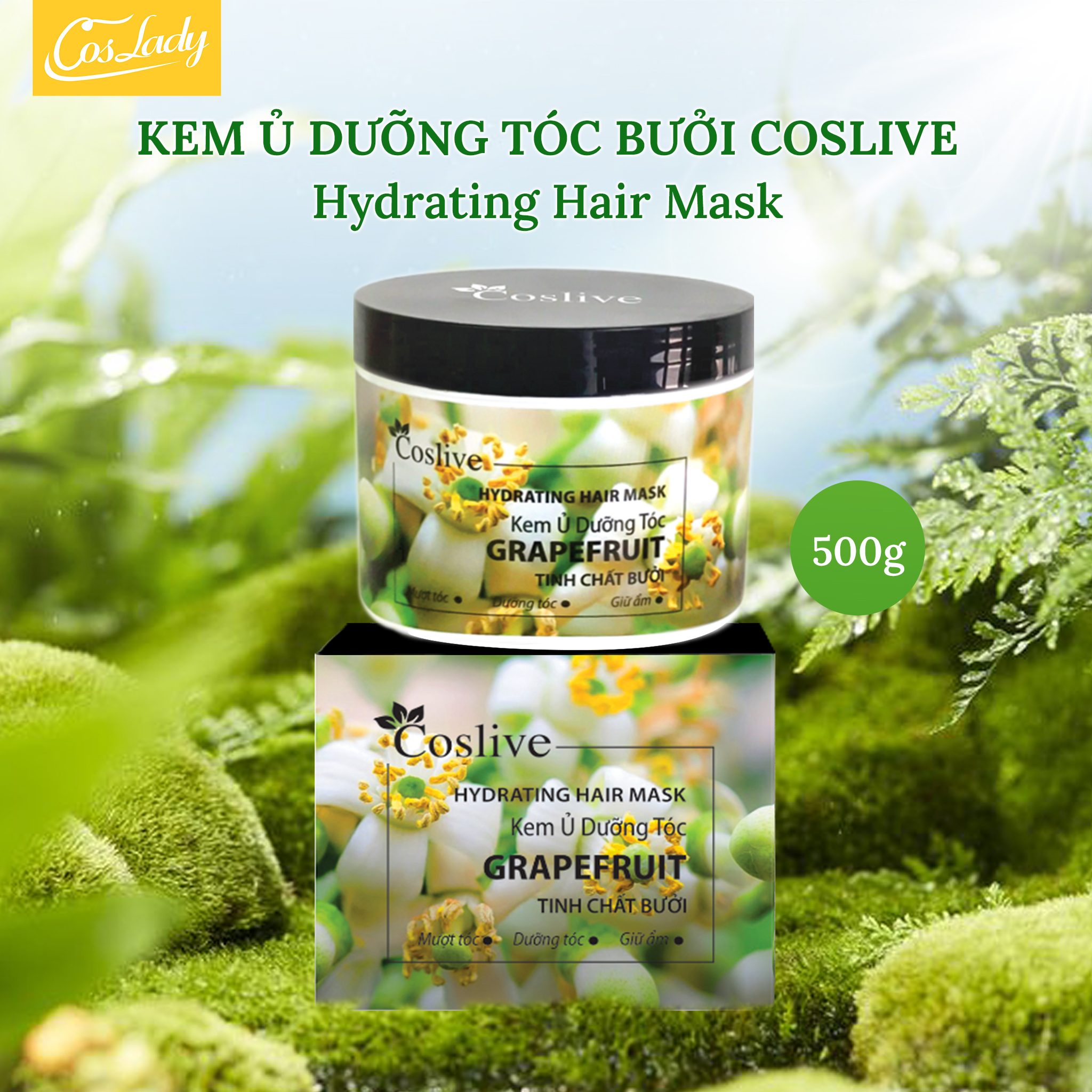 KEM Ủ DƯỠNG TÓC TINH CHẤT BƯỞI 500G COSLIVE