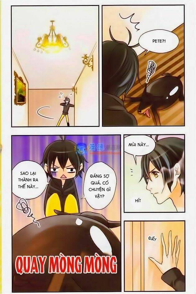 ngôi sao câu lạc bộ chapter 3 11