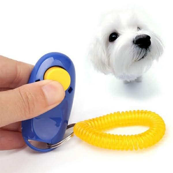 Hình ảnh Clicker dạy chó nhanh hiệu quả | BH trọn đời - Lida Pet Shop