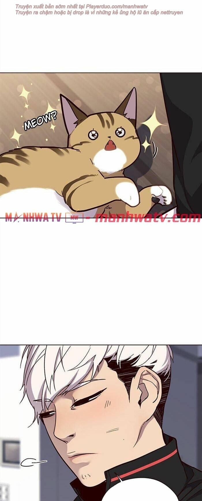 biến thân thành mèo chapter 35 11