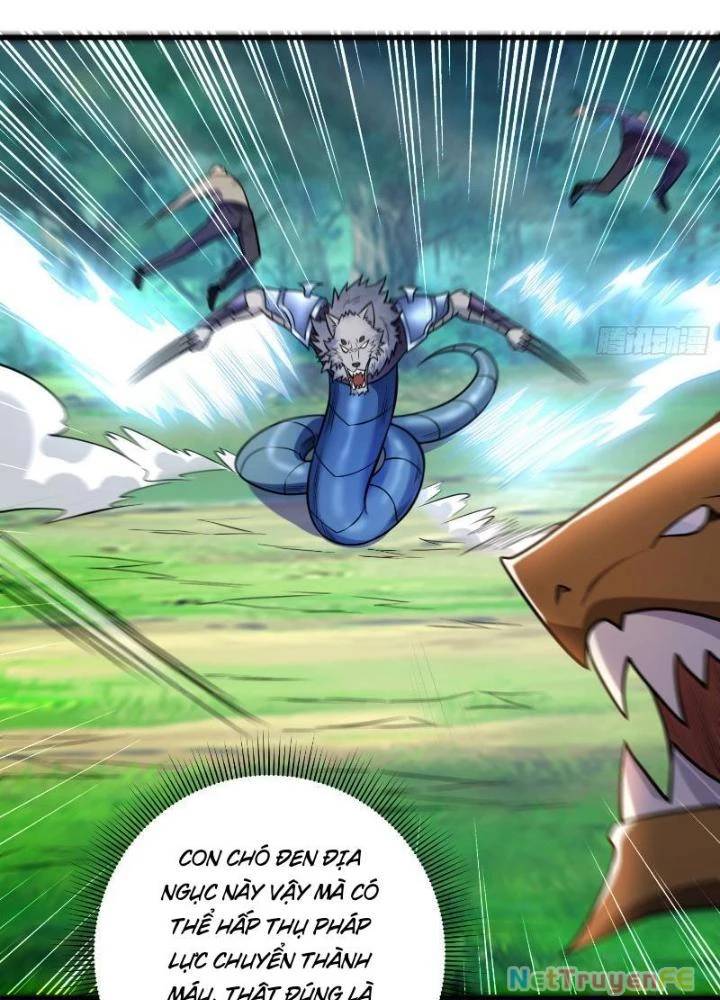 từ dã quái bắt đầu thăng cấp chapter 21 32