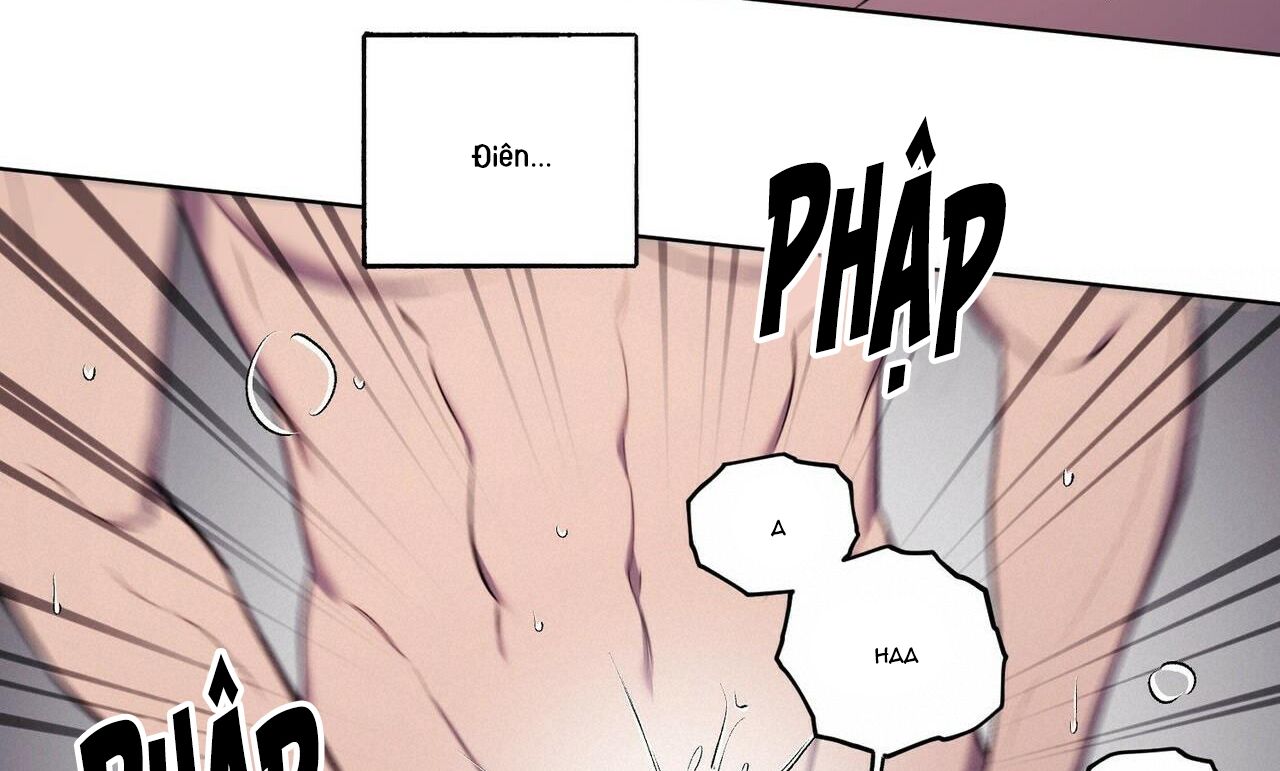 chàng dâu nhà họ kang chapter 20 22