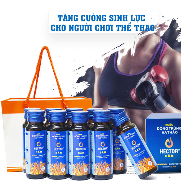 Combo 4 hộp 40Chai Hector Sâm Đông trùng hạ thảo (Date mới)