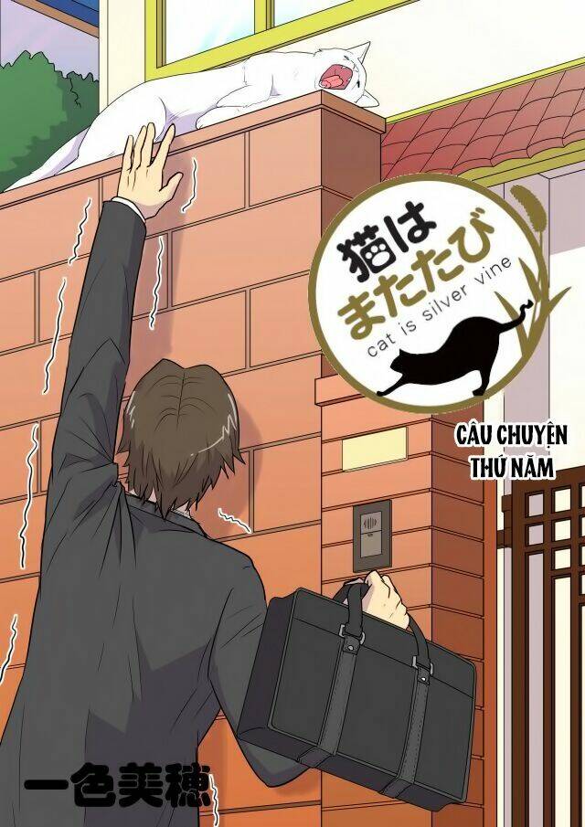 cat is silver vine chapter 5 1