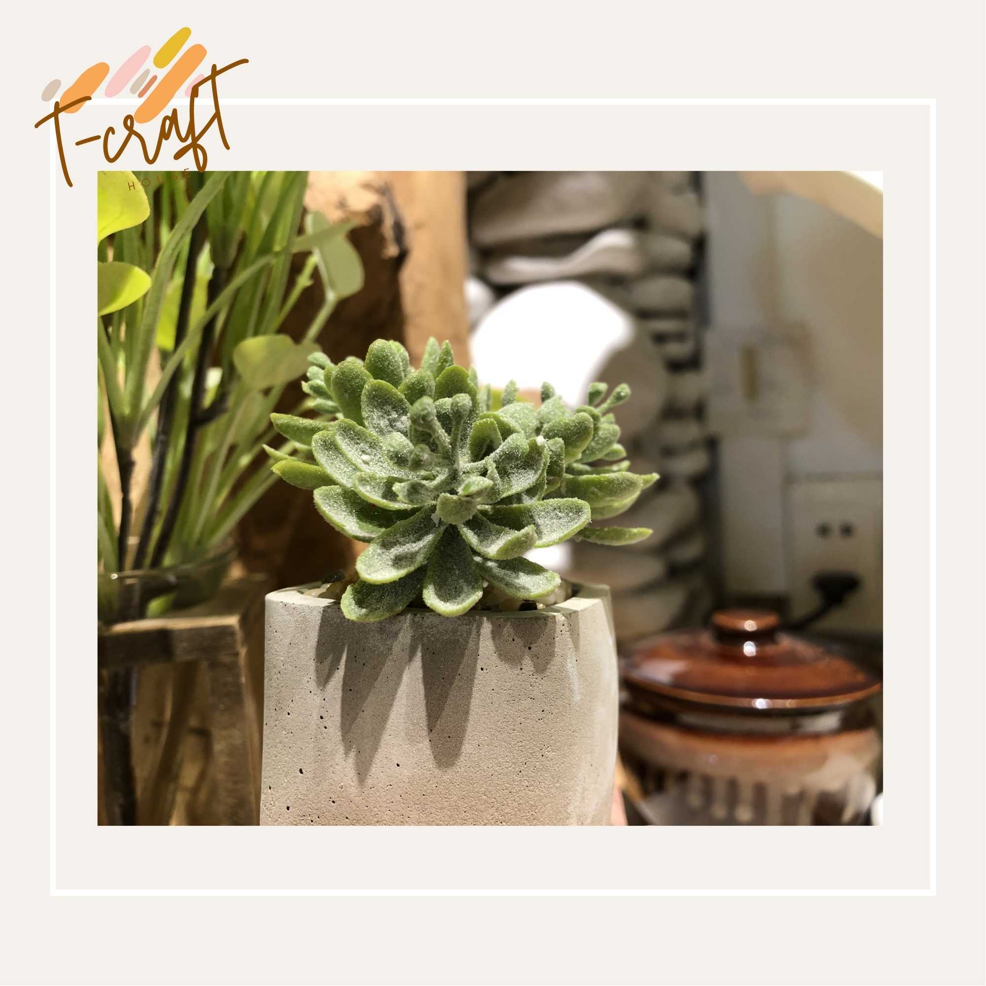 CÂY GIẢ CHẬU THẠCH CAO NHÀ LÀM NHIỀU MÀU SẮC CHO KHÔNG GIAN THÊM SỐNG ĐỘNG VÀ TƯƠI MÁT T.CRAFT HOUSE