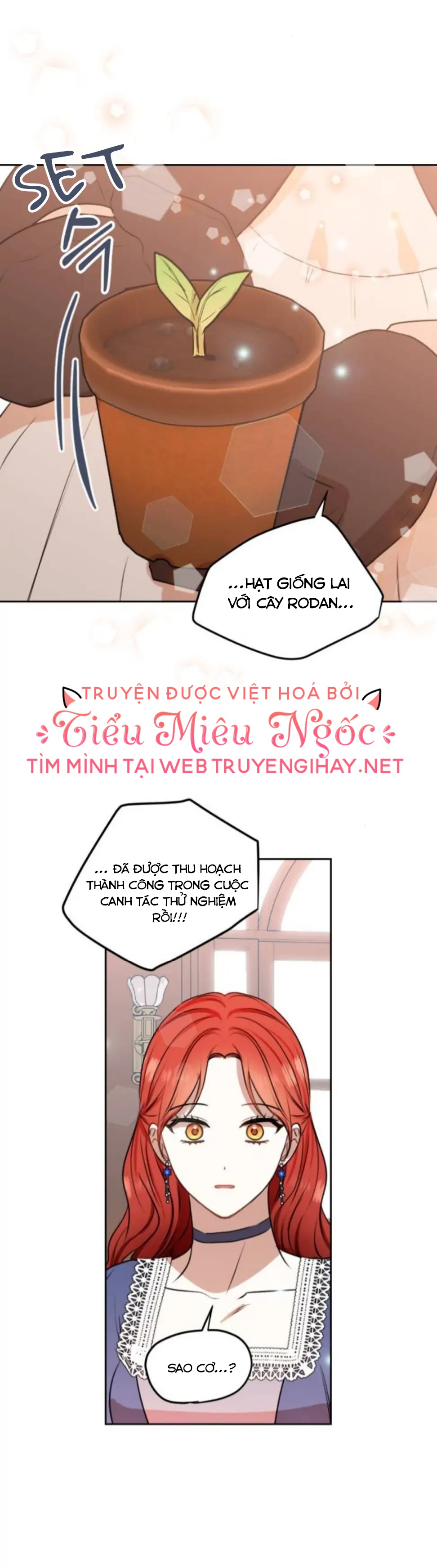 tôi sẽ nâng cấp chồng tôi trở thành một bậc thầy chapter 71 11