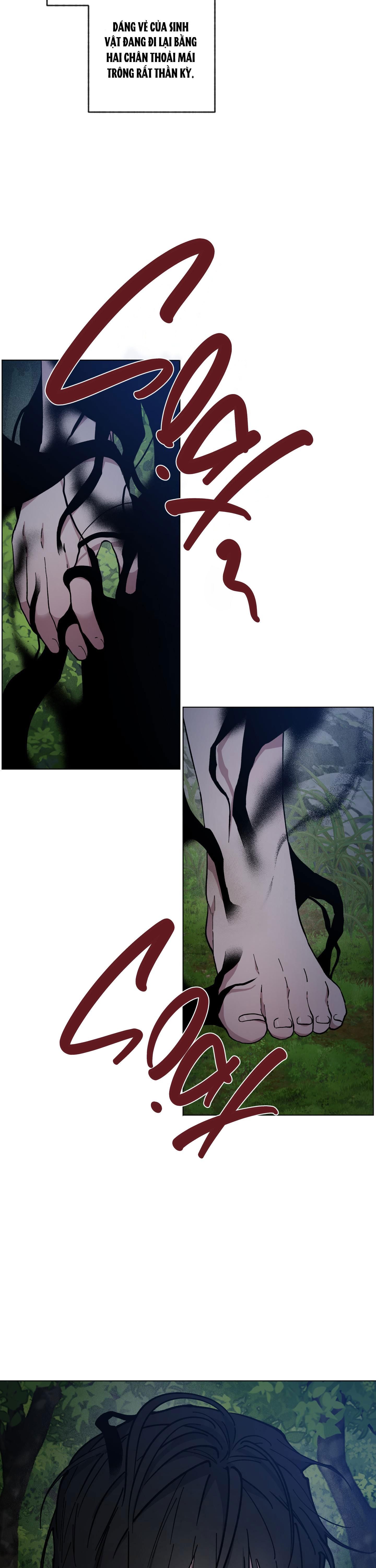 bình minh của rồng chapter 34 13