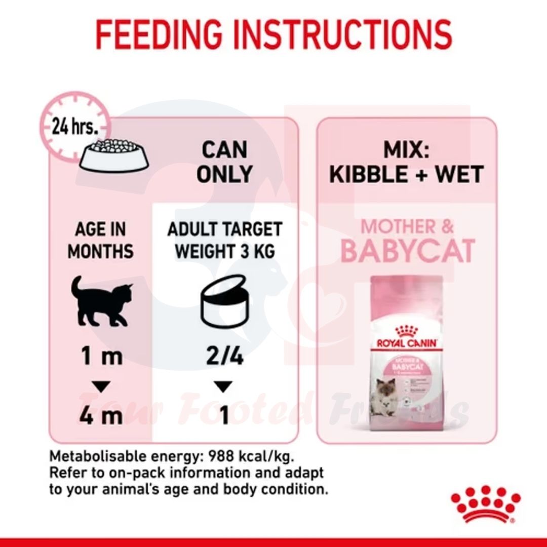 Pate Thức Ăn Ướt Royal Canin Mother &amp; Babycat Dành Cho Mèo Mẹ Mang Thai Và Mèo Đang Cho Bú, Mèo Con Dưới 2 Tháng Tuổi - Lon 195gr