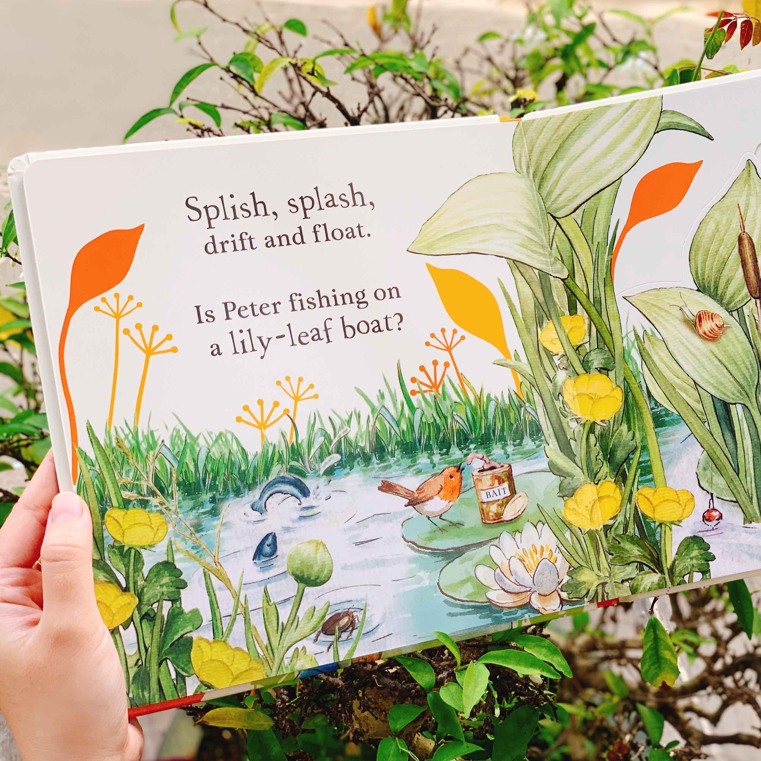 Where is Peter Rabbit? : Lift the Flap Book