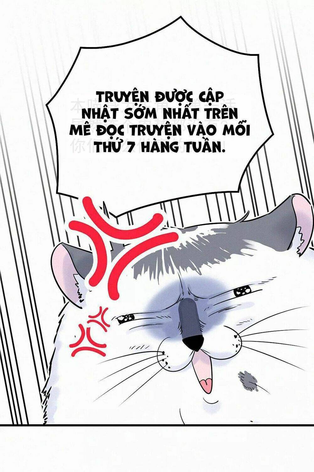 ứng cử viên hôn phu của ta chapter 3 73