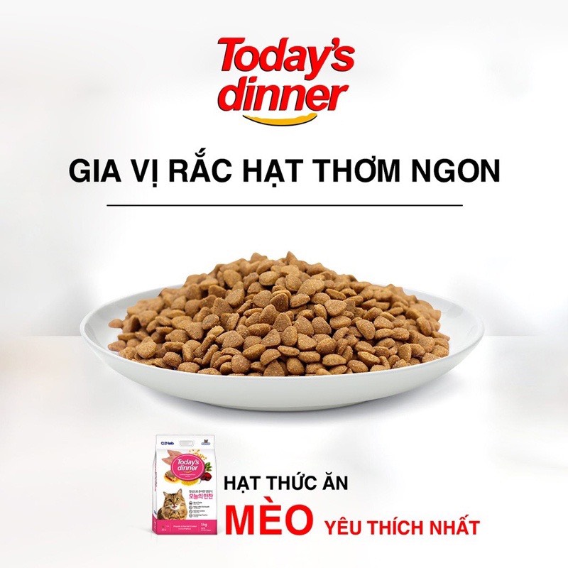 Hạt today dinner cho mèo