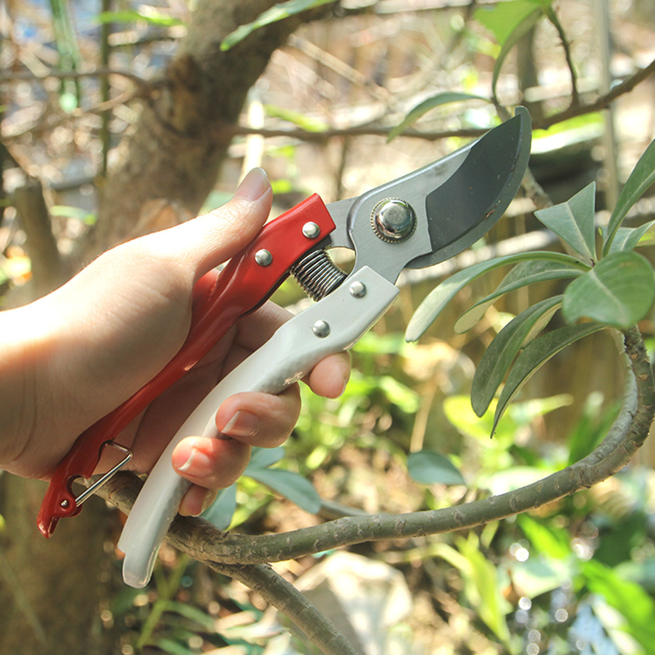 Kéo cắt cành 200mm cán trắng đỏ BD035