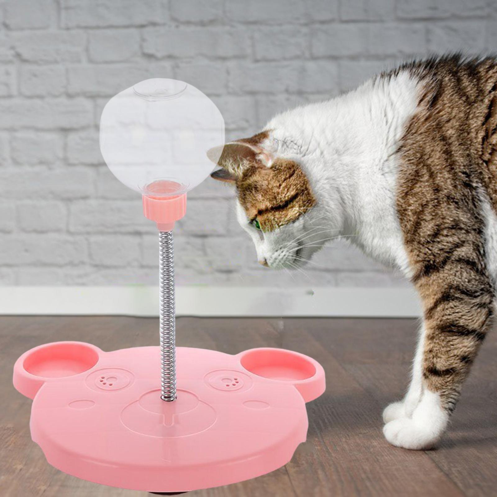 Cat Slow Feeder Toy for Pet Training Exercise