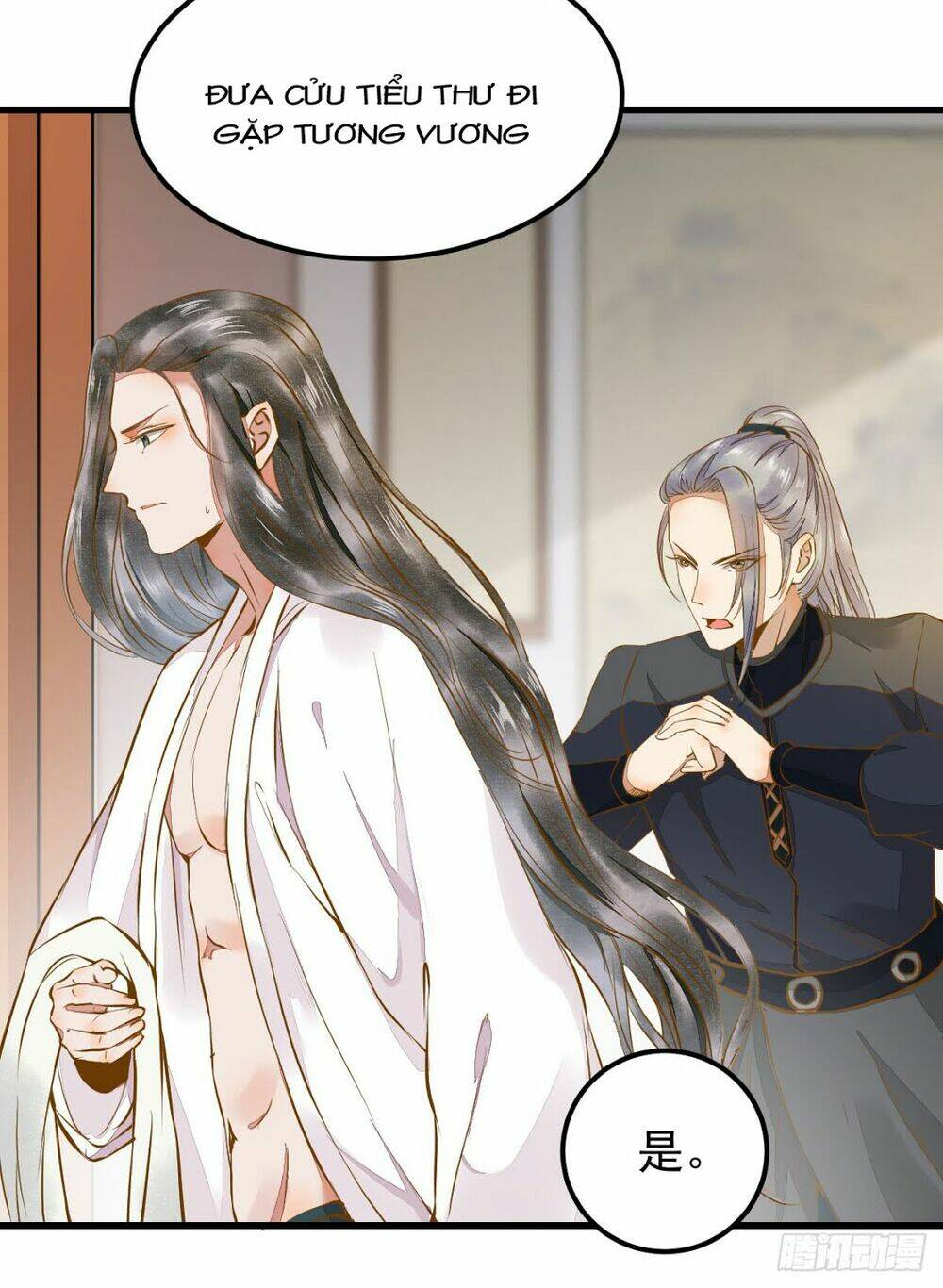 sát thủ vương phi không dễ chọc chapter 4.5 7