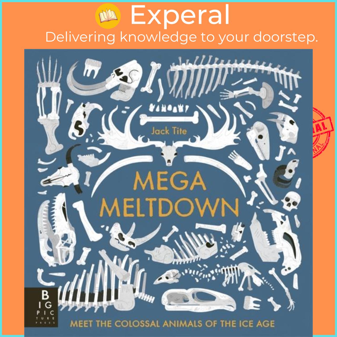 Sách - Mega Meltdown by Jack Tite (UK edition, paperback)