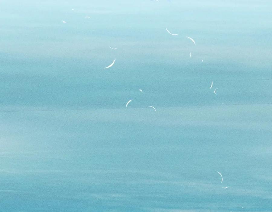 mùa xuân đang đến chapter 105 99