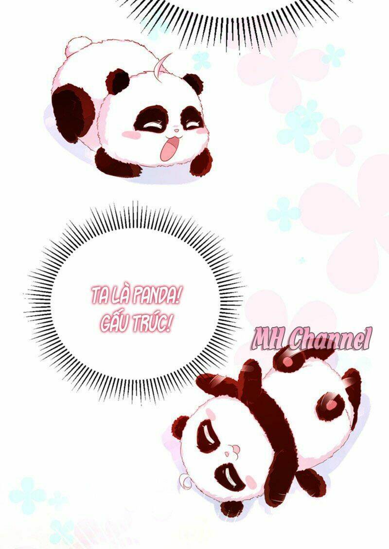 thiên thần gấu trúc muốn được ôm chapter 5 20