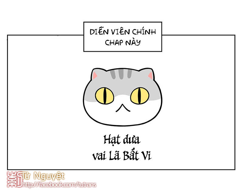 nếu lịch sử là một bầy mèo chapter 24 28