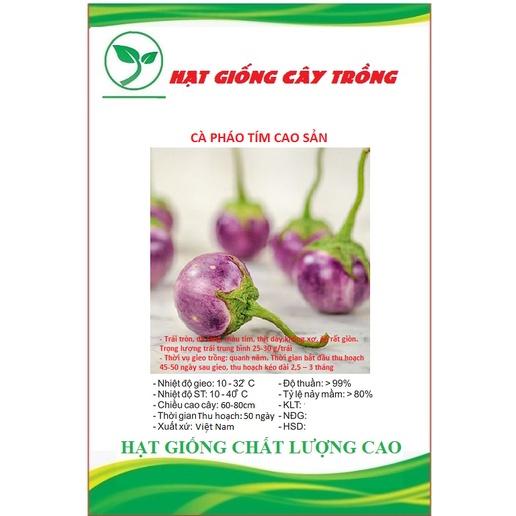 Hạt Giống Cà Pháo Tím F1 Cao Sản CT266 - Gói 0.5gram