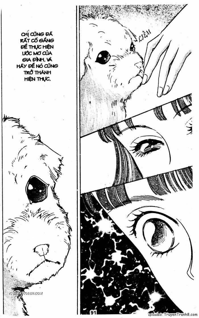 tiệm thú kiểng chapter 25 38