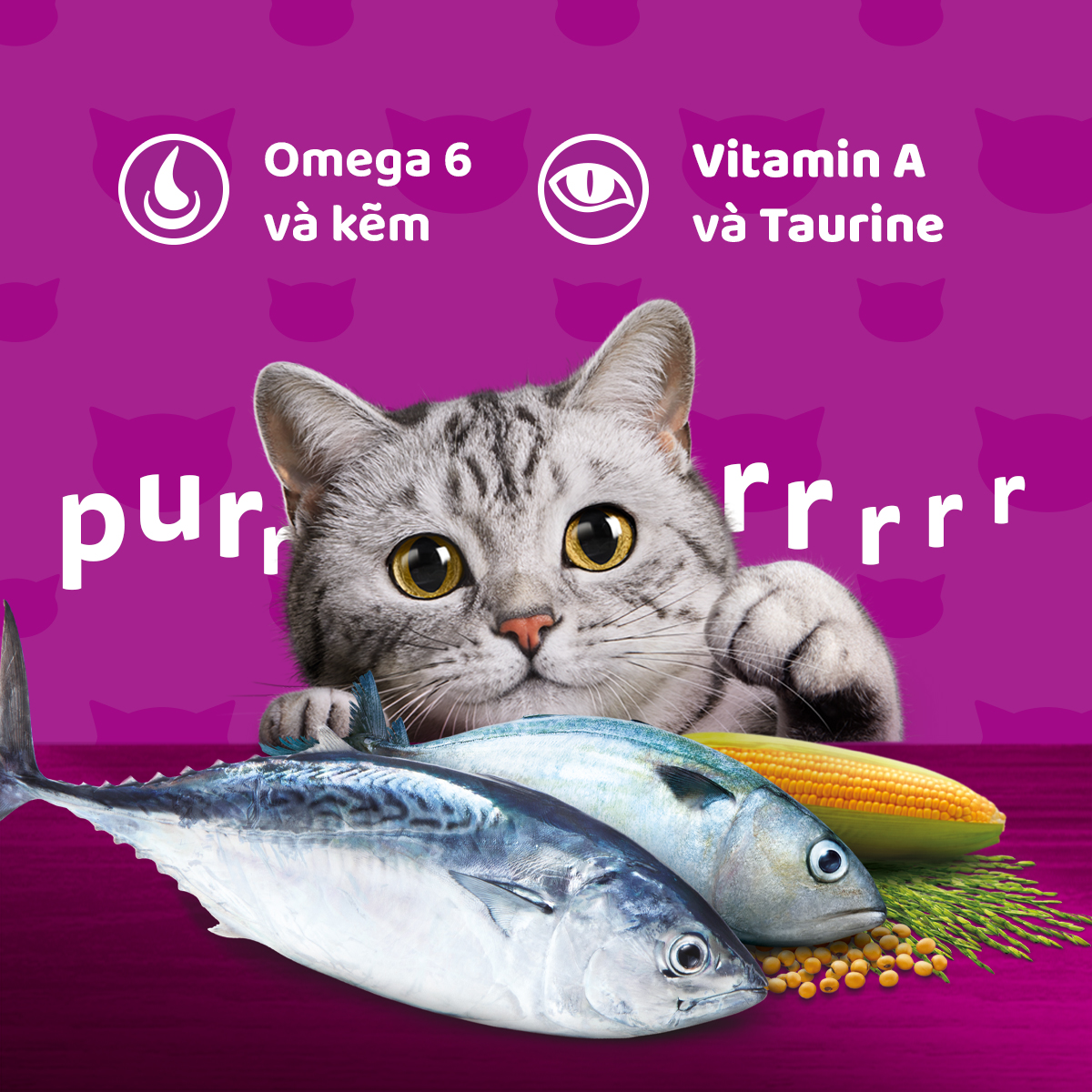 Thức ăn mèo whiskas vị cá biển túi 3kg