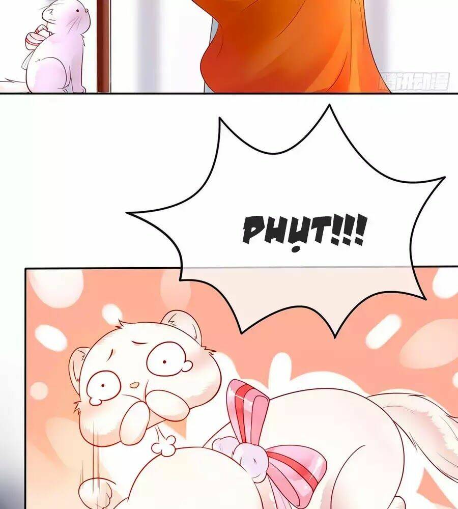 dưỡng thú vi phi chapter 2 23