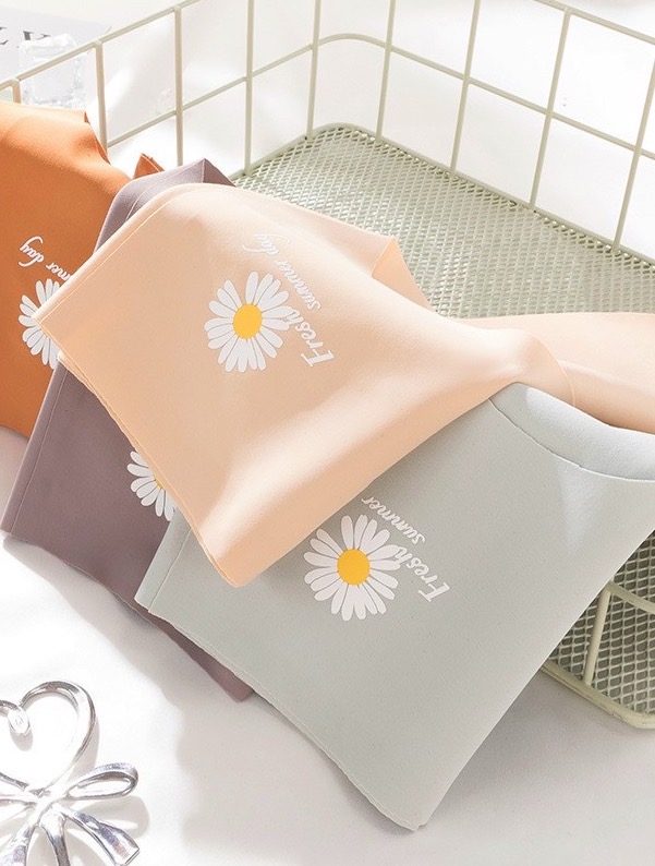 SET 5 Quần Lót Nữ su đúc thun lạnh, không đường may hoa cúc