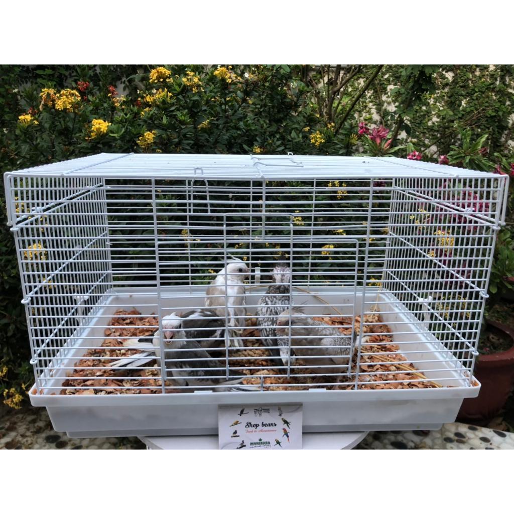 Lồng dành cho sóc bay, sóc đất, hamter, vẹt baby