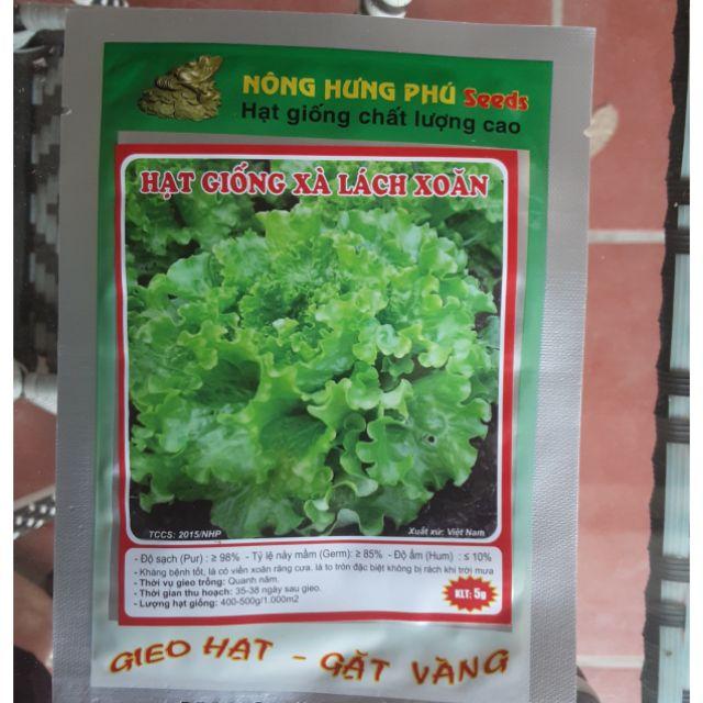 Hạt giống xà lách xoăn