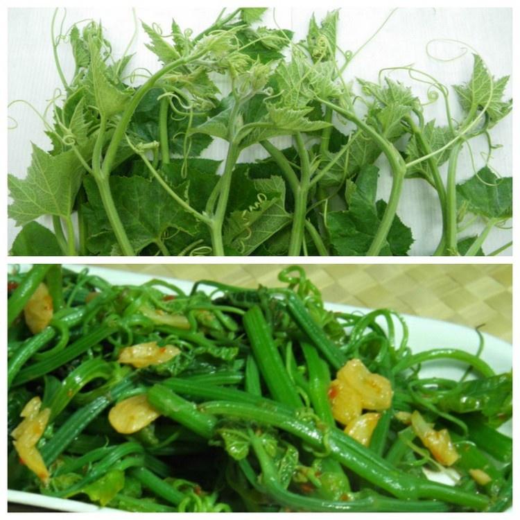 Hạt giống Bí Siêu Đọt và bông, đóng gói 10gr hoặc 20gr