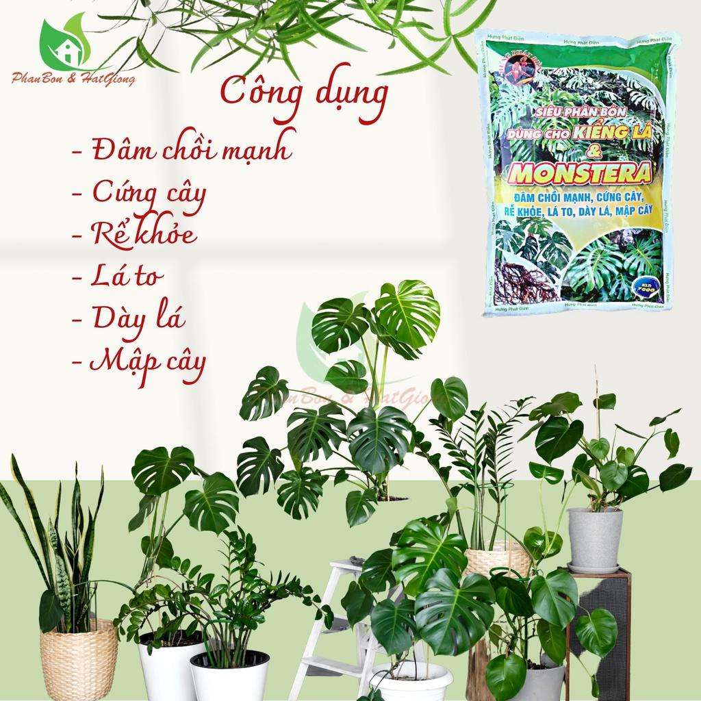 Phân Bón Hữu Cơ Kiểng Lá, Chuyên Dụng Cho Cây Trong Nhà, Monstera, Kiểng Lá. Gói 700gr - Shop Phân Bón và Hạt Giống