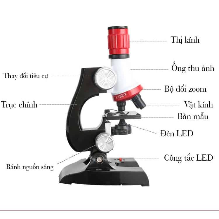 Kính Hiển Vi Trẻ Em Science Microscope Phóng Đại 1200X Kèm Phụ Kiện Tiêu Bản