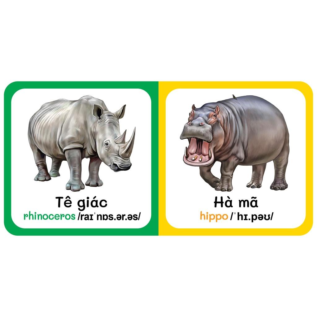 Sách - Baby'S First Picture Dictionary - Từ Điển Bằng Hình Đầu Tiên Của Bé - Động vật hoang dã - Wild Animals (Bìa Cứng)