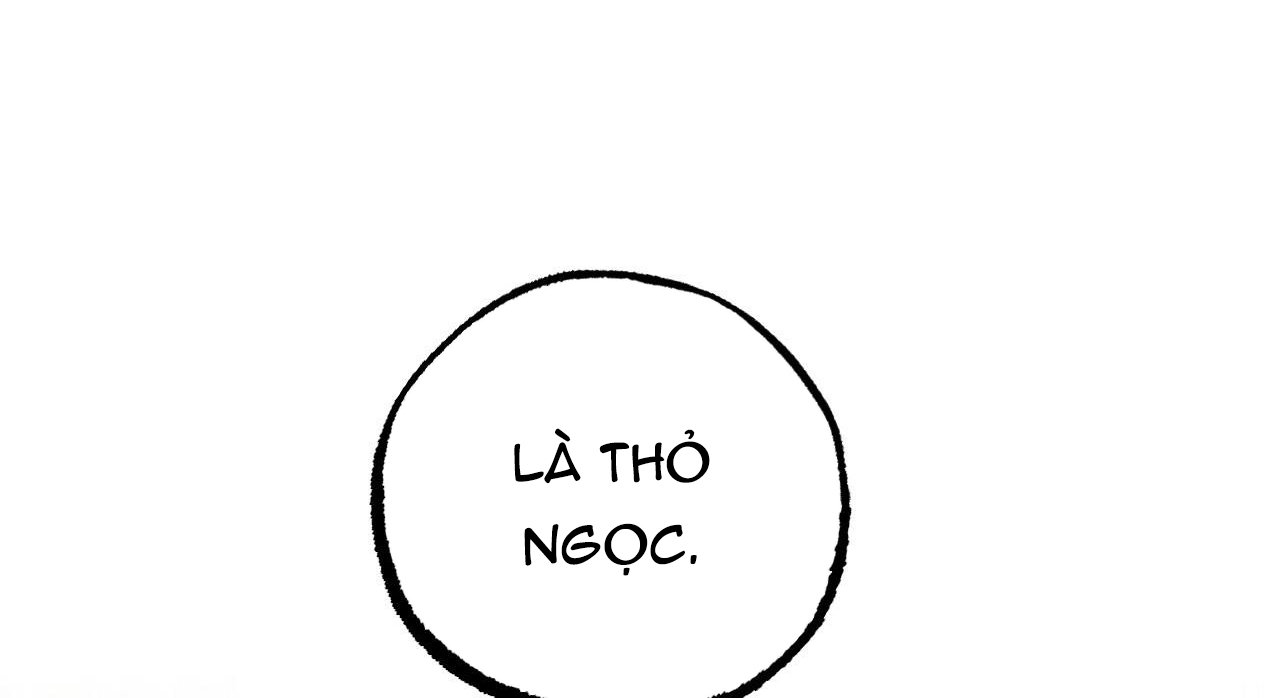 đàn thỏ của habibi chapter 47 120