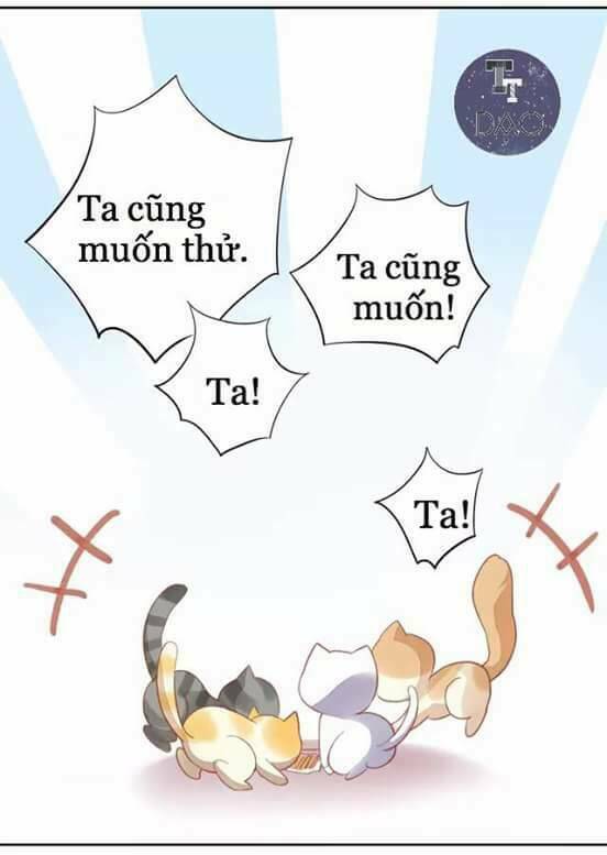 dưới móng vuốt mèo chapter 6 48