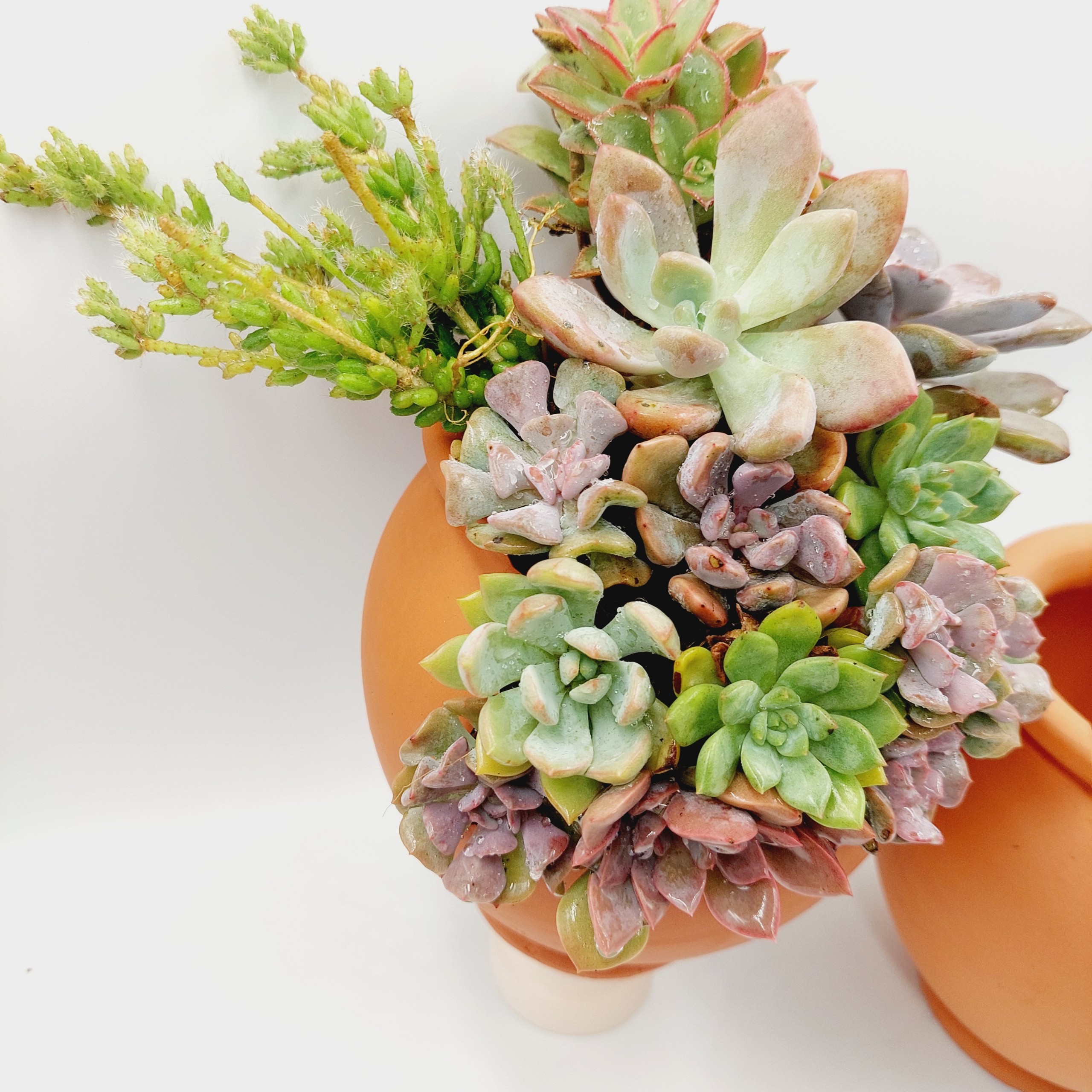 Chậu đất nung, chậu sen đá - Chum 1014, miệng chậu 10cm, chiều cao 14cm