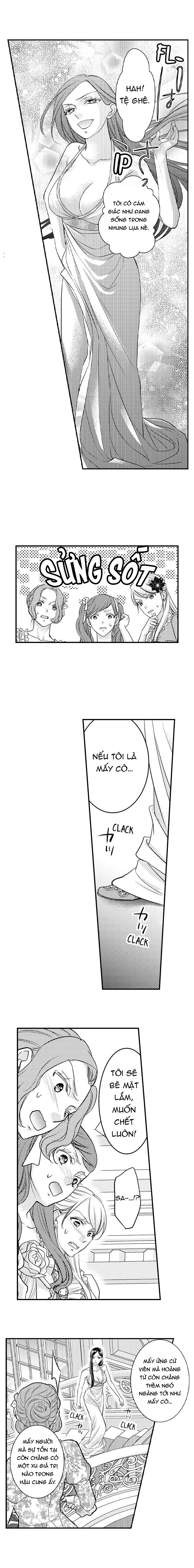 chuyển sinh vào thế giới khác ~ nếu muốn trở thành nữ hoàng hãy tìm cách để được hoàng đế sủng ái vào ban đêm chapter 14.1 6