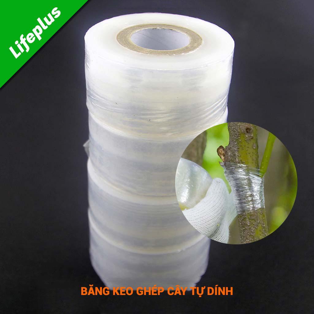 Băng keo ghép cây tự dính giúp bảo vệ mối ghép, băng keo tự dính chống thấm nước, băng keo chuyên dụng ghép cành