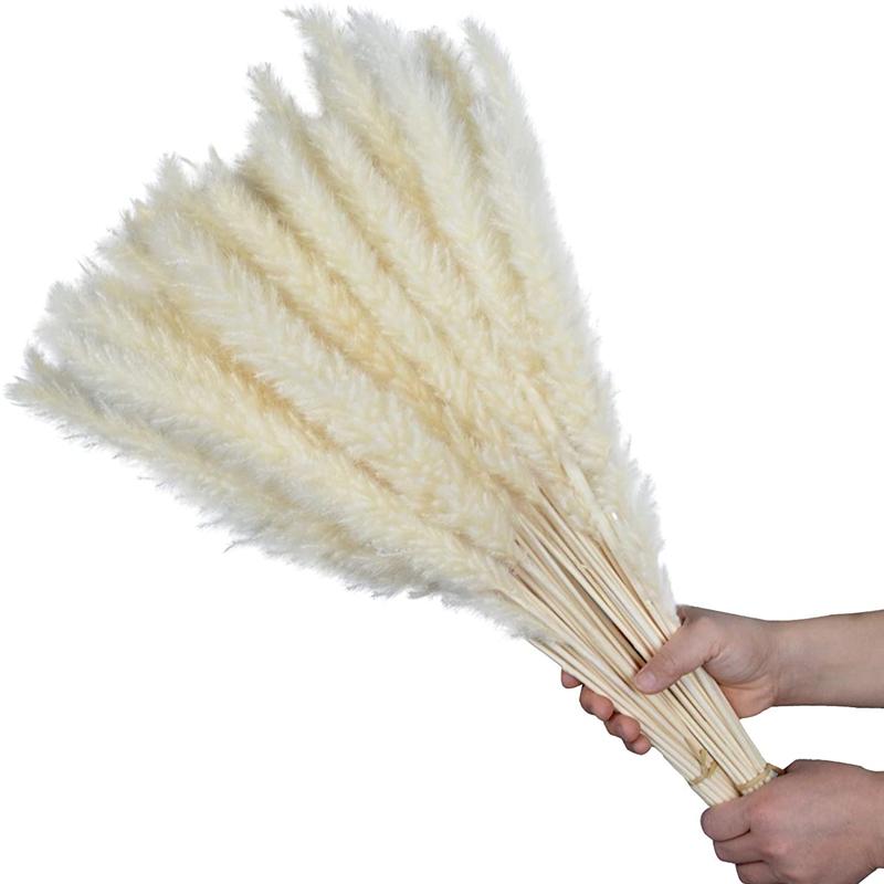 Pampas Cỏ 30 Chiếc Dekoration Hoa Khô Tự Nhiên Sậy Phragmites Chùm Communis Trang Trí Mộc Tặc Đánh Lagurus Ovatus