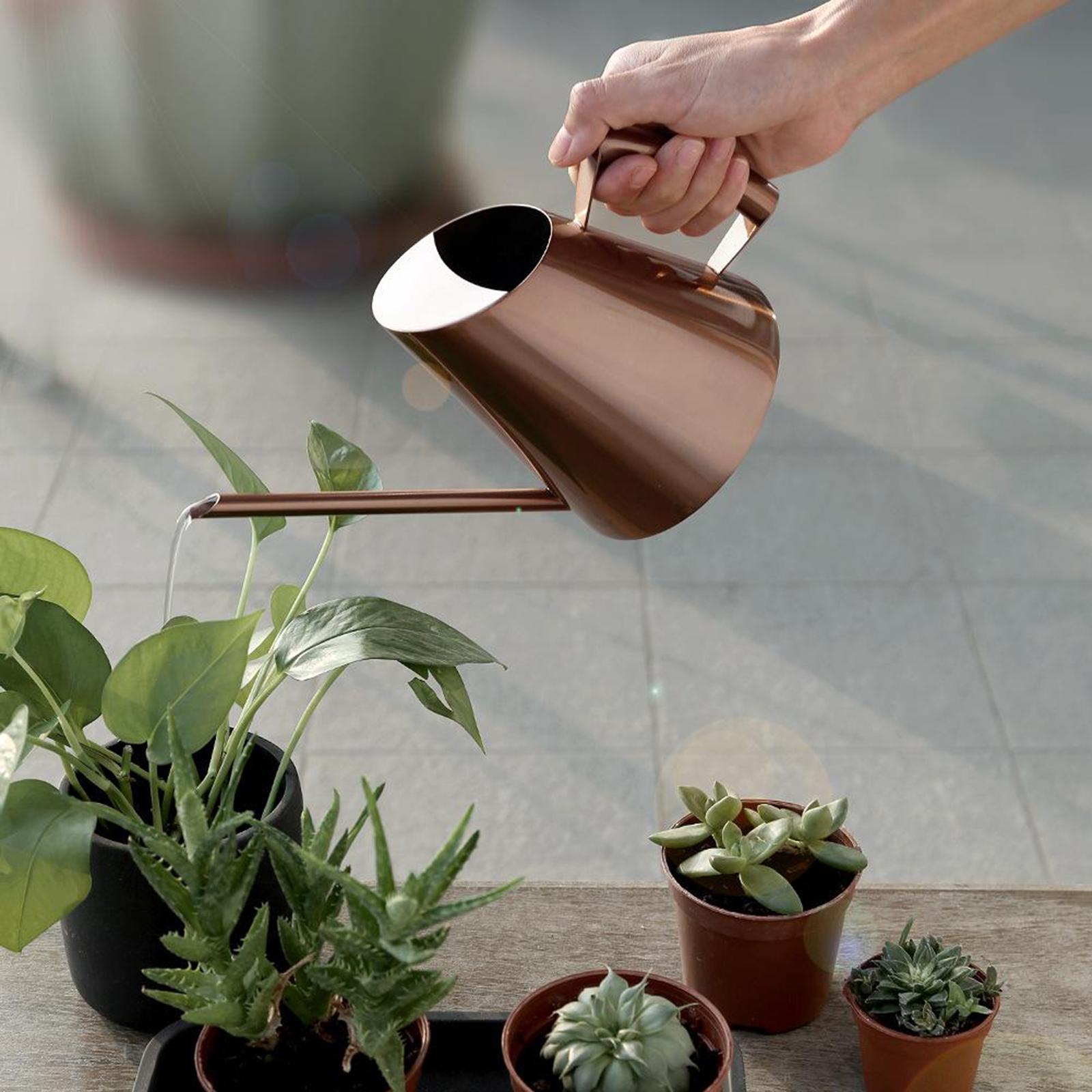 Small Indoor Watering Can for House Plants Stainless Steel Watering Pot with Long Spout