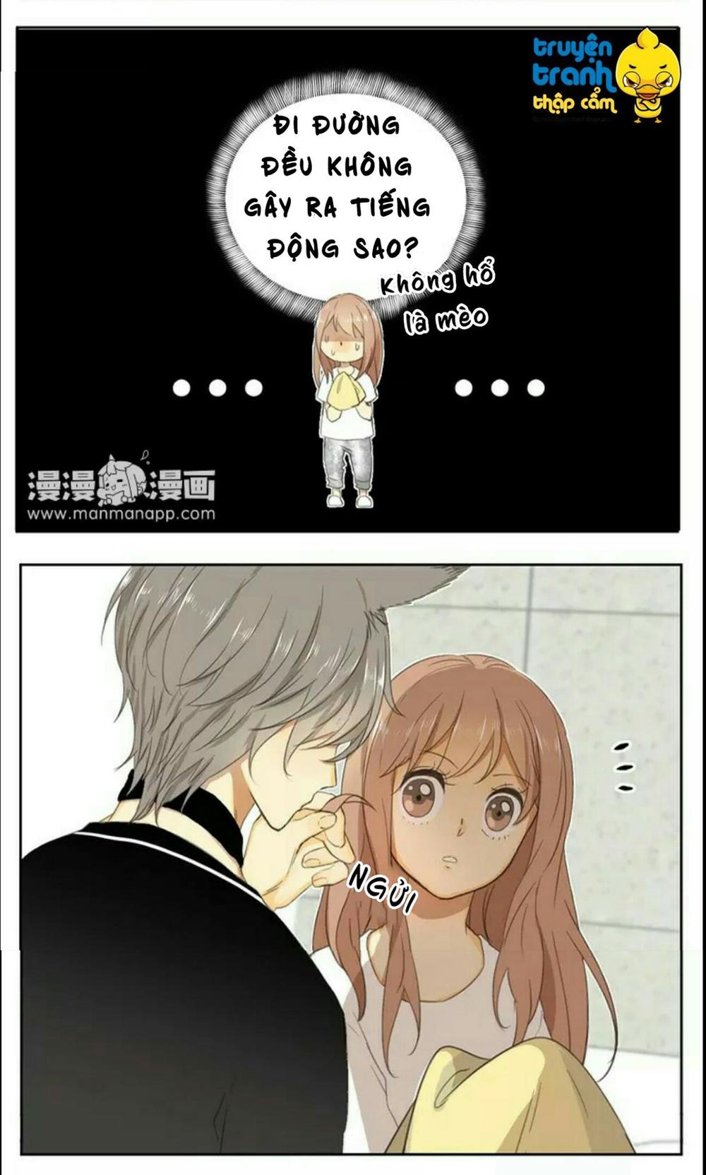 cứu mạng ! loài mèo thống trị thế giới rồi ! chapter 36 19