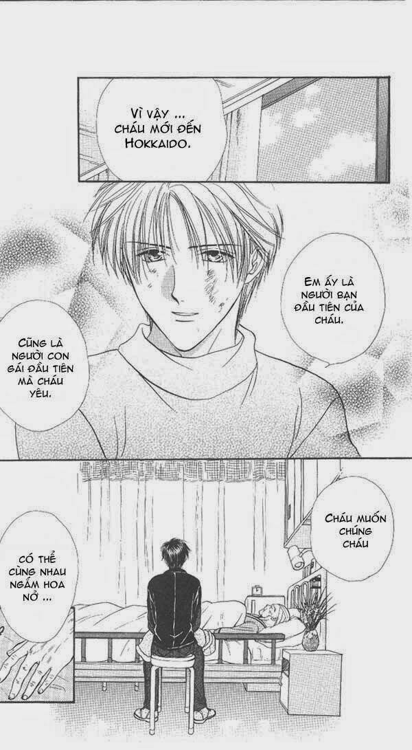 cô bé nghèo khó chapter 25 14