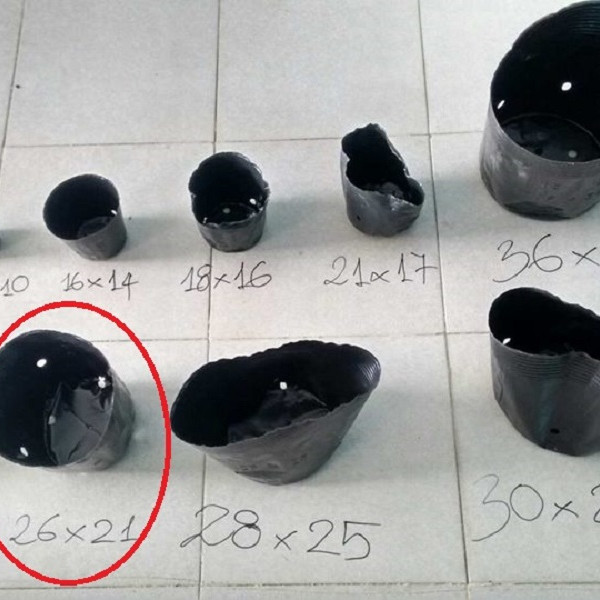1KG CHẬU NHỰA MỀM ƯƠM CÂY 26X21 - BỊCH, TÚI BẦU 26x21, 1kg = 41 chậu
