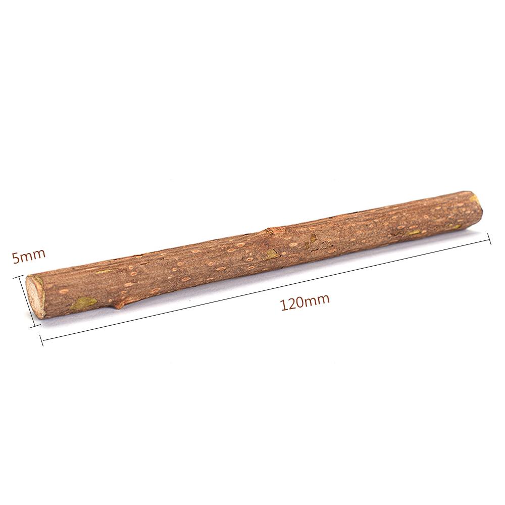 Thanh Gỗ Catnip Bạc Hà Cho Mèo Gặm Sạch Răng